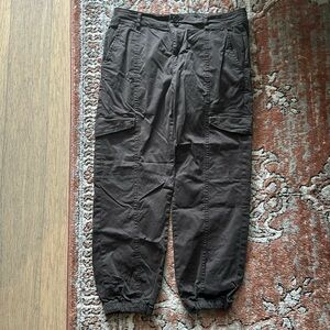 Sanctuary standard rise in obsidian